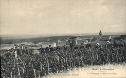 Vintage Postcard Folklore Vine Wine Grape harvest Moet & Chandon Champagne the vintage has Mesnil on Oger