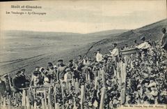 Vintage Postcard Folklore Vine Wine Grape harvest Moet & Chandon Champagne the grape harvest has Ay Champagne