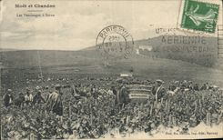 CPA Folklore Vigne Vin Vendanges Champagne Moet & Chandon Les vendanges a Saran