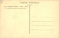 Postal Folclore Vid Vino Vendimias Champaña Pommery y Greno Reims Fila de gredales de origen galo romano