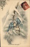 CPA Fantaisie Oiseaux Illustrateur 