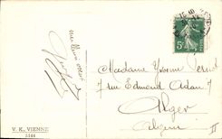 Postal Fantasia Mujer Ilustrador Niños Cerdo Cerdo