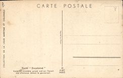 CPA Illustrateur Haffner Bateau Yacht encalmine
