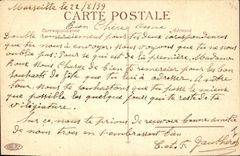 CPA Fantaisie Fleurs Paquerettes