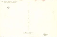 Vintage Postcard Fantasy Flowers Trolle d' Europe