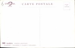 CPA Fantaisie Fleurs 