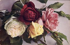 CPA Fantaisie Fleurs 