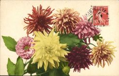 CPA Fantaisie Fleurs 