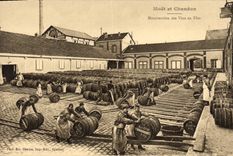 Postal Champaña Moet & Chandon Manutención de los vinos en barriles