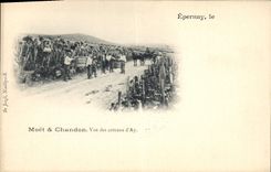CPA Champagne Epernay Vue des coteaux d'Ay