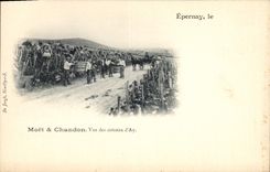 CPA Epernay Champagne Moet & Chandon Vue des coteaux d'Ay