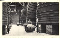 Postal Bodegas Byrrh Thuir Cubas