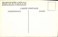 CPA Chais Byrrh Thuir Cuves