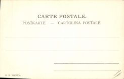 Vintage Postcard Fantasy Flowers Birds Illustrator