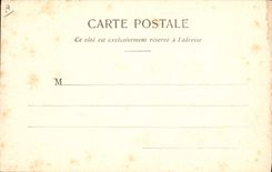 Vintage Postcard Fantasy Flowers Cermium Arachnoideum Marine algas