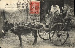Vintage Postcard Folklore the Limousin Donkey Mule