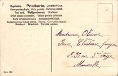 Vintage Postcard Fantasy Flowers Woman Swallows