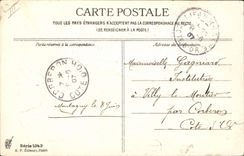 Vintage Postcard Fantasy Flowers Child Birds