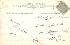 Vintage Postcard Fantasy Flowers Mushrooms