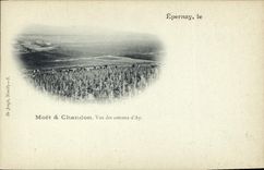 Postal Folclore Vino Vendimia Champaña Epernay Moet & Chandon Vista de las laderas de Ay