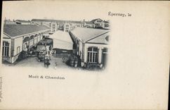 Postal Folclore Vino Vendimia Champaña Epernay Moet & Chandon