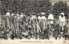 Postal Folclore Vino Vendimia Champaña los vendimiadores