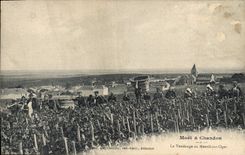 Postal Folclore Vino Vendimia Champaña Moet & Chandon la vendimia al Mesnil sobre Oger