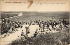 Postal Folclore Vino Vendimia Champaña después de la comida algunos empujan su pequeña canción