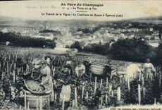 Postal Folclore Vino Vendimia Champaña el trabajo de la vid la recolección de la uva a Epernay