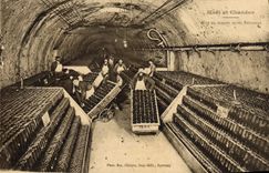 CPA Folklore Vin Vendange Champagne Moet & Chandon Mise en masses apres remuage