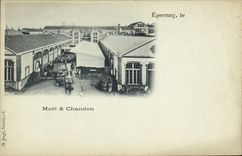 CPA Folklore Vin Vendange Champagne Moet & Chandon Epernay