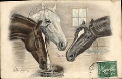 Vintage Postcard Fantasy Illustrator Horses