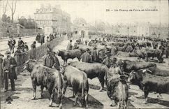 CPA Folklore Un champ de foire en Limousin Vaches Marche TOP