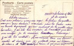 Vintage Postcard Fantasy Flowers Strawberries