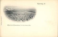 Vintage Postcard Folklore Wine Vintage Epernay Champagne Seen of the slopes of Ay