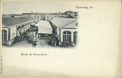 CPA Folklore Vin Vendange Champagne Epernay Moet et Chandon 