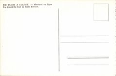 CPM Militaria De Tunis a Sienne Montant en ligne les goumiers font la halte horaire