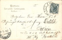 Vintage Postcard Fantaisie Flowers Child Year 1903 Clover Pig Pig Horseshoe