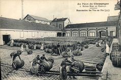 CPA Folklore Vin Vendange Champagne Moet & Chandon Manutention des vins en futs