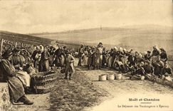 CPA Folklore Vin Vendange Champagne Moet & Chandon Le dejeuner des vendangeurs a Epernay