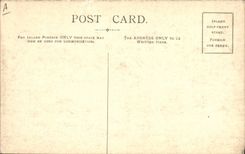 CPA Folklore Vin Vendange Champagne Drinking the health of the chef in Moet & Chandon