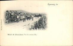 CPA Folklore Vin Vendange Champagne Moet & Chandon Epernay Vue des coteaux d'Ay