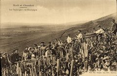 Vintage Postcard Folklore Wine Vintage Moet & Chandon Champagne the grape harvest has Ay Champagne