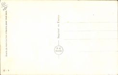 Modern Postcard Militaria the king of the Liars Adolf Hitler Nazi