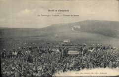 Vintage Postcard Folklore Wine Vintage Moet & Chandon Champagne the vintage has Being on fire Cahteau de Saaran