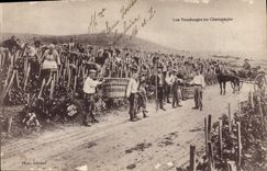 CPA Folklore Vin Vendange Champagne 
