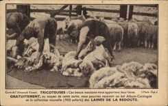 CPA Publicite Tricoteuses Laines de la Redoute Moutons