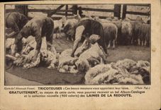 Vintage Postcard Publicity Knitters Sheep Wools of Redoute