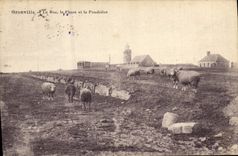 Vintage Postcard Granville Headlight the Rock the headlight and the explosives magazine Sheep