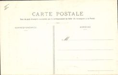CPA Orgue Albi Cathedrale Sainte Cecile Les orgues